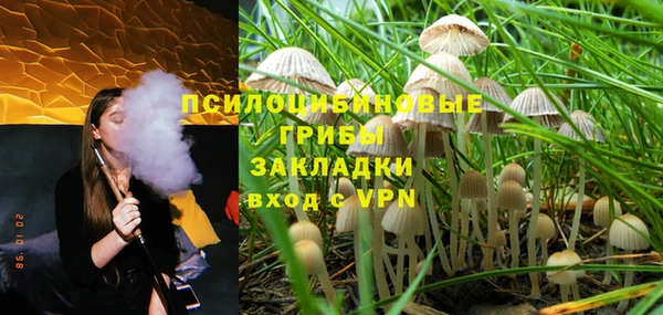 ALPHA PVP Горняк