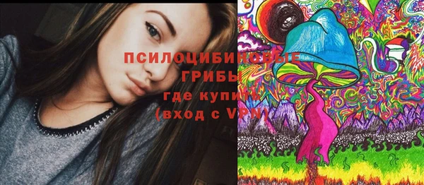 гидра Вяземский