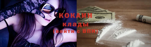 гидра Гатчина
