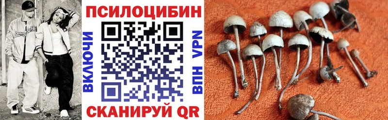 Галлюциногенные грибы мухоморы  Заволжье 
